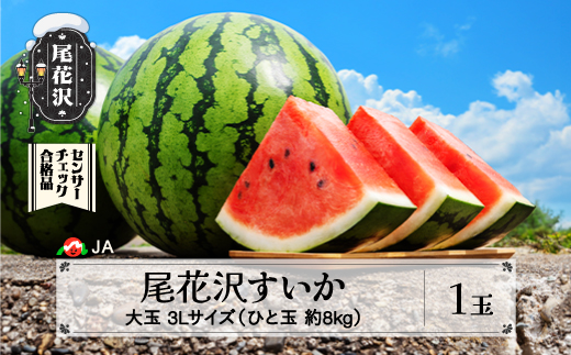 先行予約 尾花沢すいか 3Lサイズ 約8kg×1玉 7月下旬〜8月10日頃発送 2026年産 令和8年産 大玉 すいか スイカ 西瓜 果物 フルーツ 産地直送 山形県 尾花沢市 JA ja-su3xx1