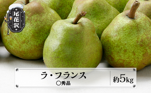 先行予約 ラ・フランス ◯秀品 約5kg(12~20個程度) 11月中旬~12月中旬頃発送 山形県産 フルーツ 果物 くだもの ラフランス 洋梨 西洋梨 令和8年産 2026年産 佐竹物産 sb-lamsx5