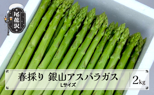 銀山春アスパラガスLサイズ 2kg 令和8年産 2026年産 山形県尾花沢市 アスパラ アスパラガス 銀山アスパラ グリーンアスパラガス nk-vga1x2
