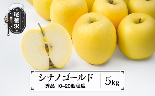 先行予約 りんご シナノゴールド 5kg (10〜20個程度) 秀品 10月中旬~11月中旬頃発送 令和8年産 2026年産 山形県産  フルーツ 果物 佐竹物産 sb-risgx5-b