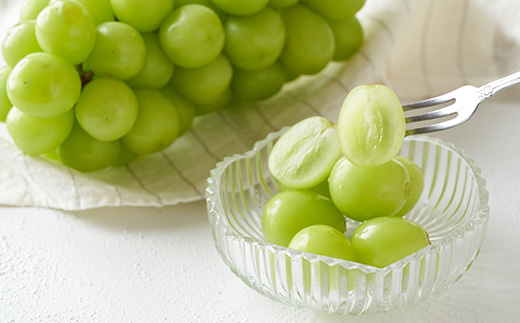 先行予約 全6回 フルーツ定期便 さくらんぼ 佐藤錦 尾花沢スイカ 桃 シャインマスカット ラ・フランス りんご 2026年6月~発送開始 ns-ft6xx-s-b