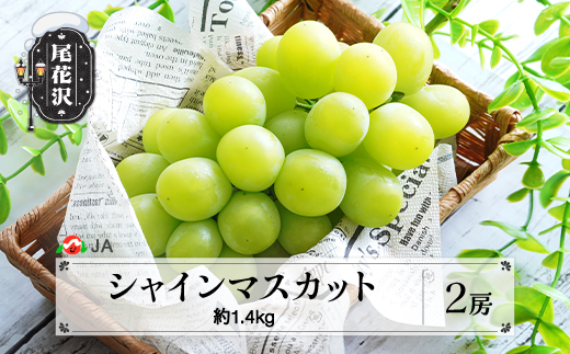 先行予約 シャインマスカット 2房 約1.4kg 令和8年産 2026年産 山形県産 果物 フルーツ ぶどう ブドウ  ja-busmx1400