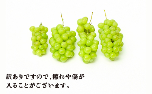 先行予約 訳あり シャインマスカット 約2kg (2~6房程度) 無印品 9月上旬~10月下旬頃発送 山形県産 フルーツ 果物 ぶどう 葡萄 ブドウ 令和8年産 2026年産 佐竹物産 sb-busmw2000-b