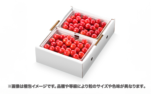 先行予約 さくらんぼ 佐藤錦 1kg(500g×2) Lサイズ 秀品 山形県産 バラ詰 令和8年産 2026年産 sb-snbsx1000