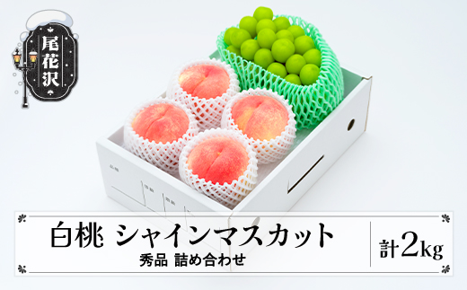 先行予約 白桃 シャインマスカット 秀品 詰め合わせ 2kg 令和8年産 2026年産 山形県産 送料無料 もも ぶどう 果物 フルーツ ギフト 贈答 セット 組み合わせ   ※沖縄・離島への配送不可 ns-fshsx2-b