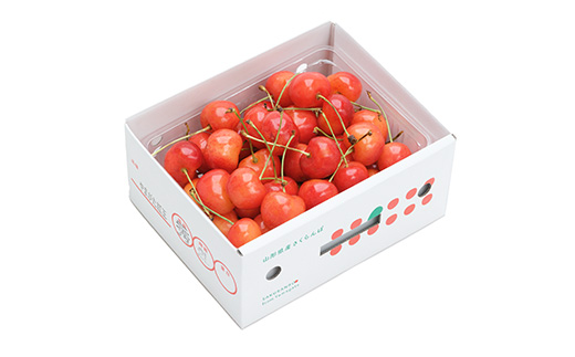 先行予約 やまがた紅王 さくらんぼ べにおう 秀2Lサイズ バラ詰め 500g プレゼント ギフト フルーツ 果物 2026年産 令和8年産 山形県産 ns-ybs2b500
