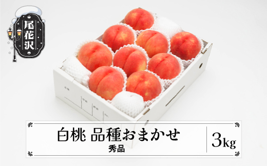 先行予約 もも 白桃 秀品 品種おまかせ 3kg 化粧箱入 フルーツ 果物 2025年産 令和7年産 山形県産 ns-mohtx3