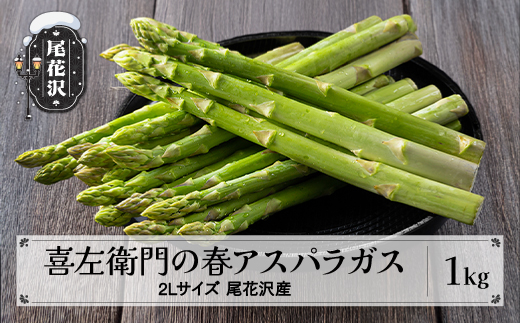 喜左衛門の春アスパラガス 2Lサイズ(極太) 1kg 5月上旬〜発送 令和8年産 2026年産 グリーンアスパラガス アスパラガス アスパラ 朝採り 山形県 尾花沢市  農家直送 産地直送 kz-vga2x1