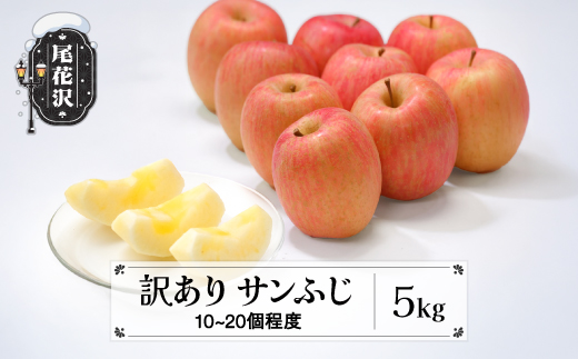 先行予約 訳あり りんご サンふじりんご 5kg 無印品 11月中旬頃~12月中旬頃発送 令和8年産 2026年産 山形県産  フルーツ 果物 佐竹物産 sb-risfw5-b