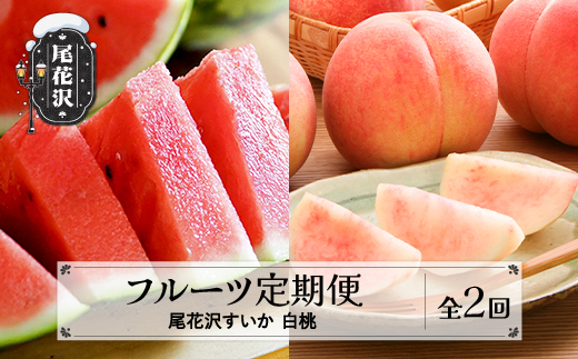 【先行予約】フルーツ定期便  全2回  スイカ もも 秀品 2026年7月中旬~発送開始 2026年産 令和8年産 佐竹物産 ※沖縄・離島への配送不可  sb-fts2x-b-mo