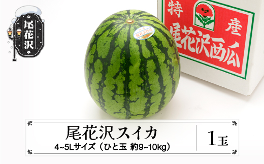 先行予約 尾花沢スイカ 4〜5Lサイズ(約9〜10kg)×1玉 7月下旬〜8月中旬頃発送 令和7年産 2025年産 農産センター すいか 西瓜 ※沖縄・離島への配送不可 ns-su45x1