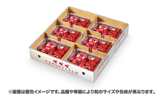 先行予約 さくらんぼ 佐藤錦 1080g(180g×6パック) Lサイズ以上 秀品 山形県産 令和8年産 2026年産 sb-snslx1200