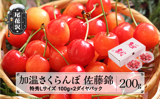 先行予約 加温 さくらんぼ 佐藤錦 特秀Lサイズ 200g (100gx2) 5月上旬~5月下旬頃発送 プレゼント ギフト ダイヤパック 2025年産 令和7年産 ハウス ハウス栽培 山形県産 ns-sntdp200