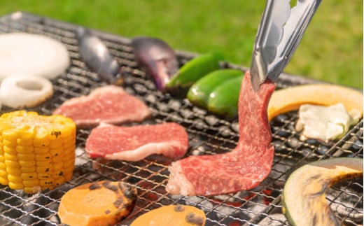 【定期便】雪降り和牛尾花沢 定期便 MIXコース（ 焼肉 / すき焼き / しゃぶしゃぶ / ステーキ ）全4回 雪降り和牛 尾花沢牛 山形牛 国産牛 黒毛和牛 牛肉 お肉 肉 冷凍 ja-tkmix4