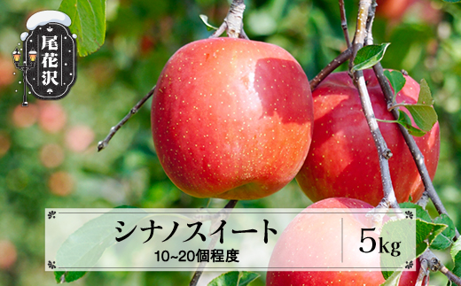 先行予約 りんご シナノスイート 5kg (10〜20個程度) 秀品 10月中旬~11月中旬頃発送 令和8年産 2026年産 山形県産  フルーツ 果物 佐竹物産 sb-rissx5-b