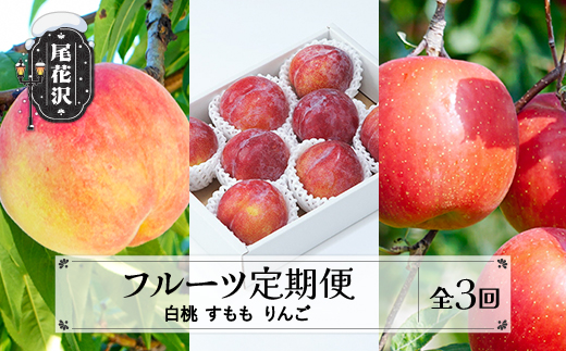 【先行予約】フルーツ定期便 全3回 白桃 すもも りんご 秀品 2026年8月上旬頃~発送開始 2026年産 令和8年産 佐竹物産 ※沖縄・離島への配送不可 sb-fthpr3-b