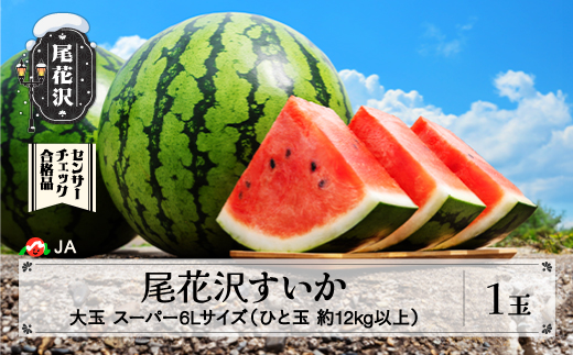 先行予約 尾花沢すいか スーパー6Lサイズ 約12kg以上×1玉 8月1日〜8月10日頃発送 2026年産 令和8年産 大玉 すいか スイカ 西瓜 果物 フルーツ 産地直送 山形県 尾花沢市 JA ja-sus6x1