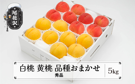 先行予約 もも 白桃 有袋黄桃 秀品 詰め合わせ 品種おまかせ 5kg  化粧箱入 フルーツ 果物 アソート 2026年産 令和8年産 山形県産 ns-mohot5-b