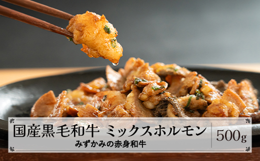 みずかみの赤身和牛 ミックスホルモン 500g mz-wgmhx500