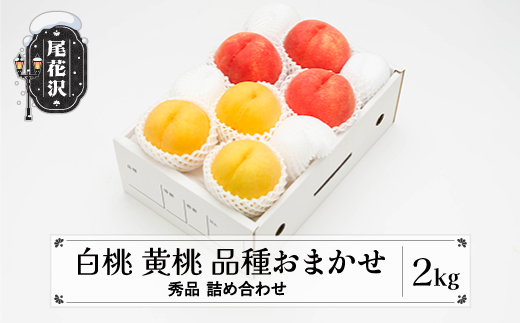 先行予約 もも 白桃 有袋黄桃 秀品 詰め合わせ 品種おまかせ 2kg  化粧箱入 フルーツ 果物 アソート 2026年産 令和8年産 山形県産 ns-mohot2-b