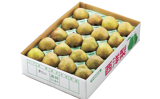 先行予約 ラ・フランス ◯秀品 約5kg(12~20個程度) 11月中旬~12月中旬頃発送 山形県産 フルーツ 果物 くだもの ラフランス 洋梨 西洋梨 令和8年産 2026年産 佐竹物産 sb-lamsx5