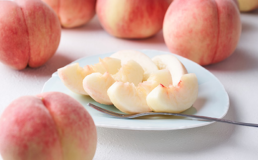 先行予約 全3回 フルーツ定期便 尾花沢スイカ 桃 りんご 2026年7月~発送開始 ns-ftshr3-b