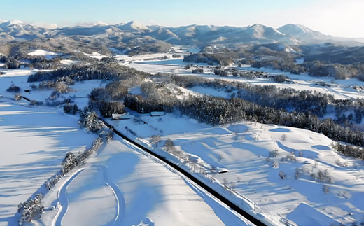 スノーバギー乗車体験　山形県尾花沢市 銀山温泉 東北 雪国 冬 体験チケット アクティビティ af-xpbgx