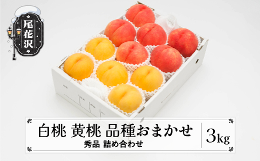 先行予約 もも 白桃 有袋黄桃 秀品 詰め合わせ 品種おまかせ 3kg  化粧箱入 フルーツ 果物 アソート 2026年産 令和8年産 山形県産 ns-mohot3-b