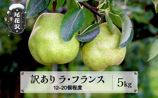 蜈郁。御コ育エ 險ウ縺ゅj 繝ゥ繝サ繝輔Λ繝ウ繧ケ 邏5kg (12~20蛟狗ィ句コヲ) 辟。蜊ー蜩 11譛井ク頑流~荳区流鬆逋コ騾 螻ア蠖「逵檎肇 繝輔Ν繝シ繝 譫懃黄 縺上□繧ゅョ 莉、蜥8蟷エ逕」 2026蟷エ逕」 菴千ォケ迚ゥ逕」 sb-laxxw5-b