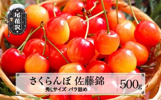 先行予約 さくらんぼ 佐藤錦 秀Lサイズ 500g  バラ詰め 2026年産 令和8年産 プレゼント ギフト 山形県産 ns-snslb500