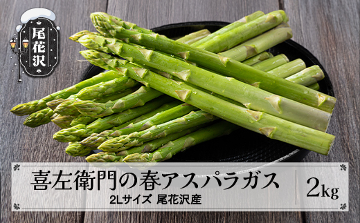 喜左衛門の春アスパラガス 2Lサイズ(極太) 2kg 5月上旬〜発送 令和8年産 2026年産 グリーンアスパラガス アスパラガス アスパラ 朝採り 山形県 尾花沢市 農家直送 産地直送 kz-vga2x2