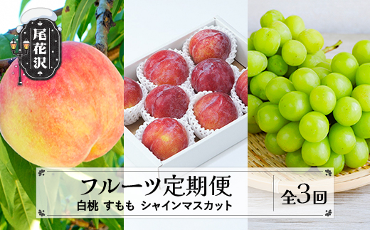 【先行予約】フルーツ定期便 全3回 白桃 すもも シャインマスカット 秀品 2026年8月上旬頃~発送開始 2026年産 令和8年産 佐竹物産 ※沖縄・離島への配送不可 sb-fthps3-b