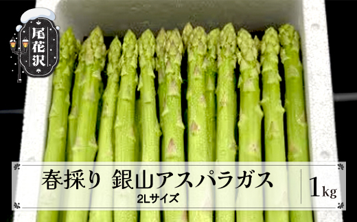 銀山春アスパラガス2Lサイズ 1kg 令和8年産 2026年産 山形県尾花沢市 アスパラ アスパラガス 銀山アスパラ グリーンアスパラガス nk-vga2x1