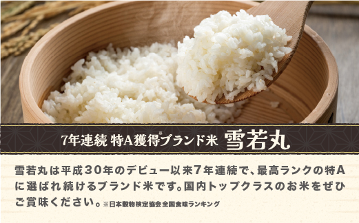 莉、蜥7蟷エ逕」 譁ー邀ウ 邇邀ウ 髮ェ闍・荳ク 30kg 驟埼∵凾譛滄∈縺ケ繧 1譛井ク区流~4譛井ク区流逋コ騾 2025蟷エ逕」 邀ウ 縺顔アウ 蝗ス逕」 螻ア蠖「逵 蟆セ闃ア豐「蟶 ja-ywgxa30