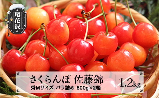 先行予約 さくらんぼ 佐藤錦 秀Mサイズ 1.2kg(600g×2箱) バラ詰め 2025年産 令和7年産 山形県産 ns-snsmb1200