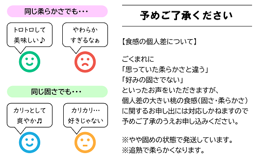 【令和6年産先行予約】 JA もも 「川中島」 約3kg (8～11玉) 《令和6年8月下旬～9月下旬発送》 『JA山形おきたま』 山形県 南陽市 [982]