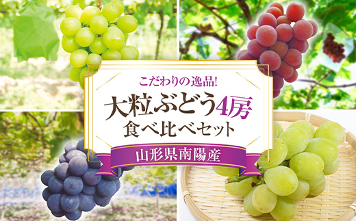 【令和6年産先行予約】 大粒ぶどう 食べ比べセット おまかせ4房 《令和6年9月上旬～発送》 『うえ木ぶどう園』 ぶどう 果物 フルーツ デザート 食べ比べ 山形県 南陽市 [675]