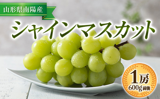 【令和6年産先行予約】 シャインマスカット 600g前後 (1房) 《令和6年9月中旬～発送》 『漆山果樹園』 ぶどう ブドウ 山形県 南陽市 [811]