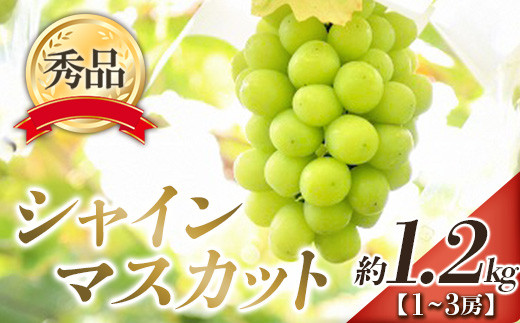 【令和6年産先行予約】 シャインマスカット 約1.2kg (1～3房 秀) 《令和6年9月下旬～11月中旬発送》 『フードシステムズ』 山形県 南陽市 [902-R6]