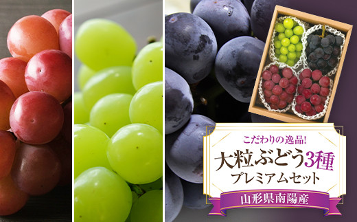 【令和6年産先行予約】 大粒ぶどう3種プレミアムセット 4房 《令和6年9月上旬～発送》 『うえ木ぶどう園』 ぶどう 果物 フルーツ デザート 食べ比べ 山形県 南陽市 [676]