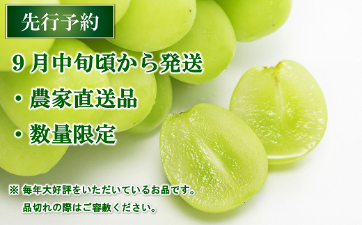 【令和7年産先行予約】 シャインマスカット 約2kg (3～4房 秀) 《令和7年9月中旬～発送》 『生産者おまかせ』 マスカット ぶどう 種なし 果物 フルーツ デザート 山形県 南陽市 [635]