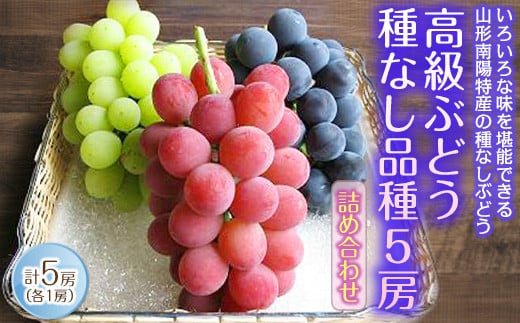 【令和6年産先行予約】 高級ぶどう 種なし品種 5房詰合せ 《令和6年9月中旬～発送》 『漆山果樹園』 山形県 南陽市 [662]