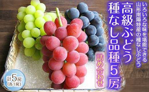 【令和7年産先行予約】 高級ぶどう 種なし品種 5房詰合せ 《令和7年9月中旬～発送》 『漆山果樹園』 葡萄 ぶどう ブドウ 種なし 新鮮 果物 フルーツ デザート 山形県 南陽市 [662]