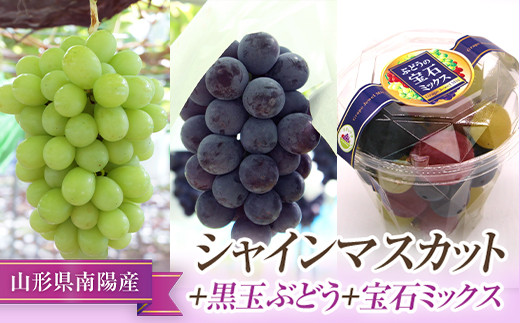 【令和6年産先行予約】 シャインマスカット＋黒玉ぶどう＋宝石ミックス 《令和6年9月中旬～発送》 『漆山果樹園』 山形県 南陽市 [663]