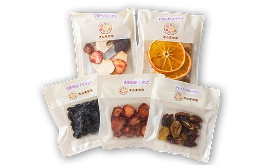 果樹園生まれの ドライフルーツ 「陽果ドライ」 おまかせ5個詰合せ 『漆山果樹園』 山形県 南陽市 [494]