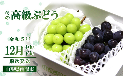 【令和5年産】 JA 冬の高級ぶどう (シャインマスカット・ウィンク) 約1.7kg (計2～3房 秀) 《令和5年12月中旬～下旬発送》 『JA山形おきたま』 山形県 南陽市 [822]