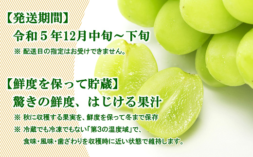 【令和5年産】 JA 冬の高級ぶどう (シャインマスカット・ウィンク) 約1.7kg (計2～3房 秀) 《令和5年12月中旬～下旬発送》 『JA山形おきたま』 山形県 南陽市 [822]