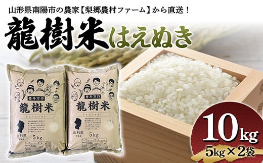 龍樹米 はえぬき 10kg (5kg×2袋) 『梨郷農村ファーム』 山形南陽産 米 精米 ご飯 農家直送 山形県 南陽市 [835]