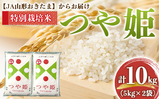 令和7年産 JA 特別栽培米 つや姫 10kg (5kg×2袋) 『JA山形おきたま』 山形置賜産 米 精米 山形県 南陽市 [639]