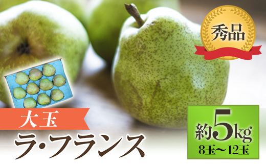 【令和6年産先行予約】 JA 大玉 ラ・フランス 約5kg ( 8～12玉 秀) 《令和6年11月上旬～12月上旬発送》 『JA山形おきたま』 洋梨 果物 フルーツ 産地直送 山形県 南陽市 [718]